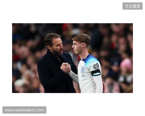 图赫尔谈10号位:一阶段考察帕尔默&福登;二阶段贝林&罗杰斯